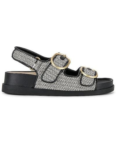 Dolce Vita Starla Sandal - Black