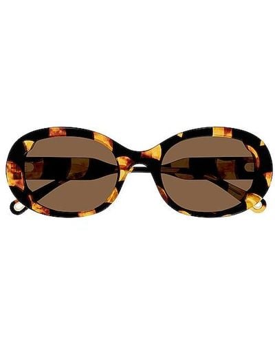 Chloé Lilli Oval Sunglasses - Brown