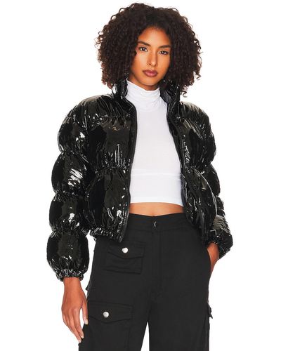 Steve Madden Jackets for Women | Online Sale up to 64% off | Lyst UK