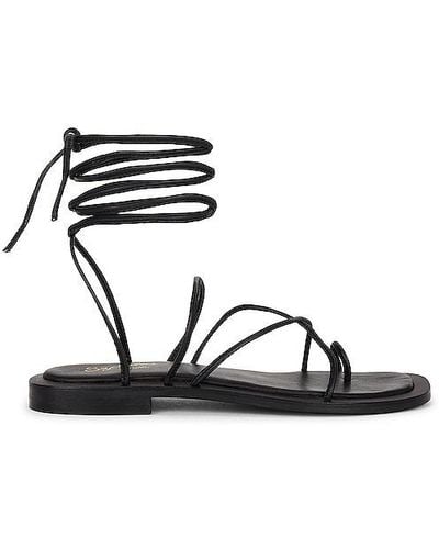 Seychelles Lilac Sandal - Black