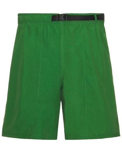 Carrots Stem Nylon Shorts - Green