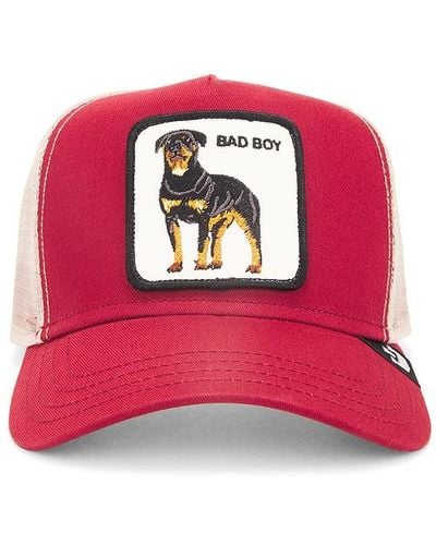 Goorin Bros The Baddest Boy Hat - Red