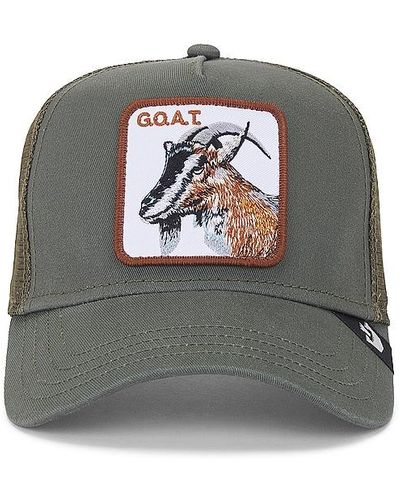 Goorin Bros The Goat Hat - Grey