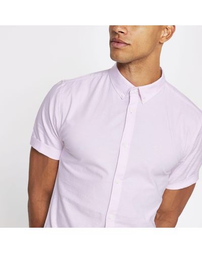 River Island Pink Short Sleeve Muscle Fit Oxford Shirt - Purple