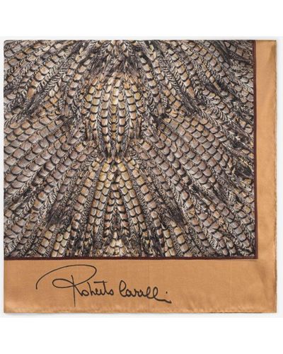 Roberto Cavalli Feather-print Silk Scarf - Brown