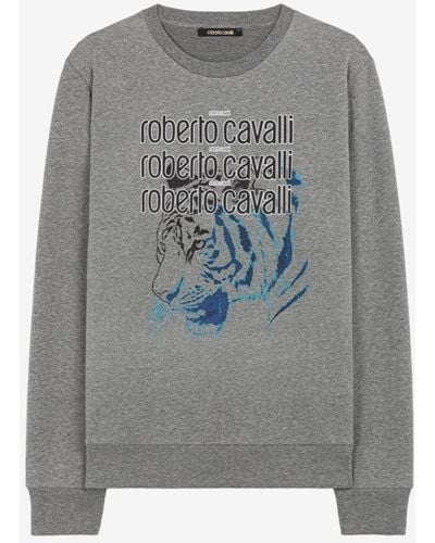 Roberto Cavalli Sweatshirt aus baumwolle mit logo und tiger-print - Grau