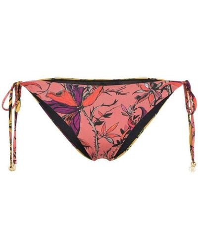 Roberto Cavalli Floral-print Bikini Briefs - Pink