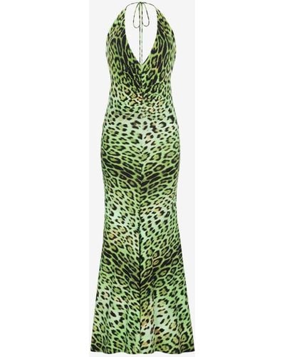 Roberto Cavalli Leopard-print Halterneck Dress - Green