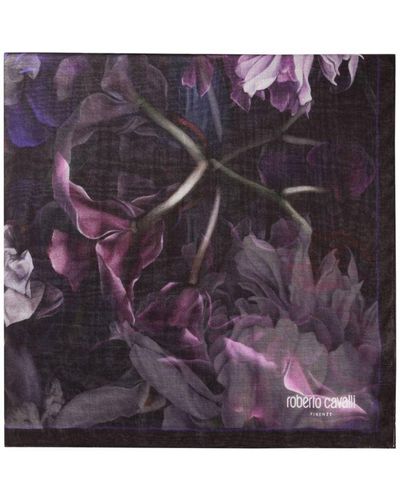 Roberto Cavalli Floral-print Scarf - Purple