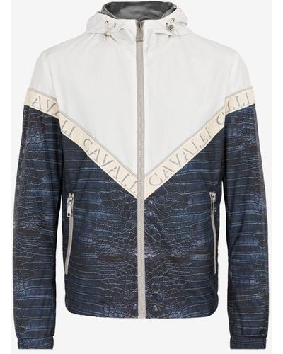 Roberto Cavalli Animal-print Zipped Jacket - Blue