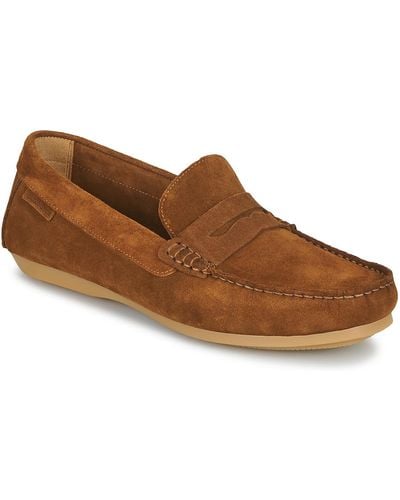 Carlington Loafers / Casual Shoes Ermyl - Brown