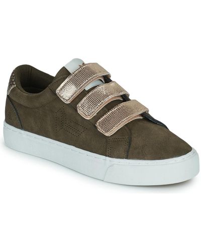 Kaporal Shoes (trainers) Tippy - Green