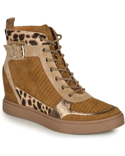Mam'Zelle Platine Shoes (high-top Trainers) - Brown