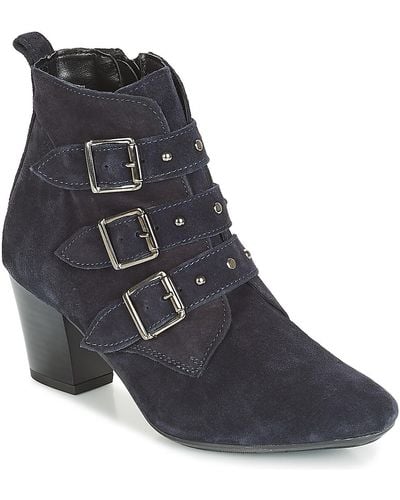 André Tracy Low Ankle Boots - Blue
