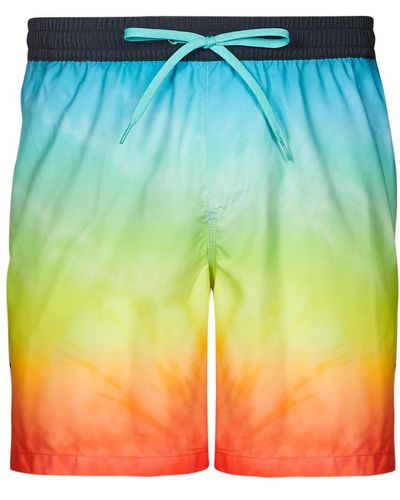 Quiksilver Everyday Faded Logo Volley 17 Trunks / Swim Shorts - Multicolour
