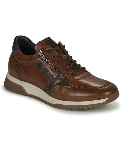 Fluchos 1600-habana-camel Shoes (trainers) - Brown