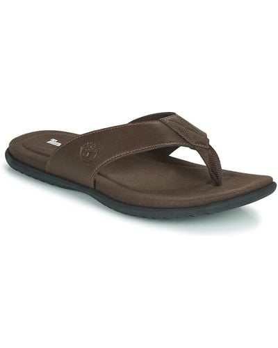 Timberland Kesler Cove Thong Flip Flops / Sandals (shoes) - Brown