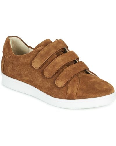 André Avenue Shoes (trainers) - Brown