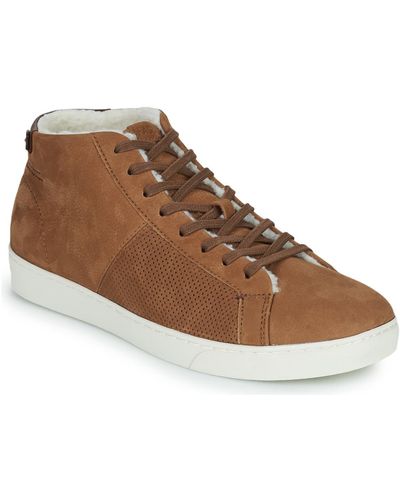 Faguo Aspen Shoes (high-top Trainers) - Brown