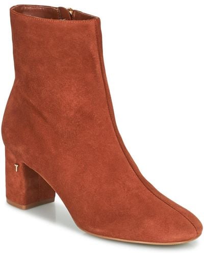Ted Baker Low Ankle Boots - Brown