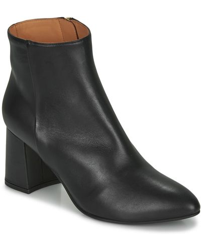 Emma Go Sheffield Low Ankle Boots - Black