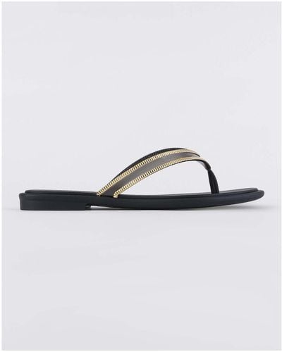 Ipanema Flip Flops / Sandals (shoes) Caju Thong - Blue