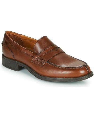 Carlington Jaleck Loafers / Casual Shoes - Brown