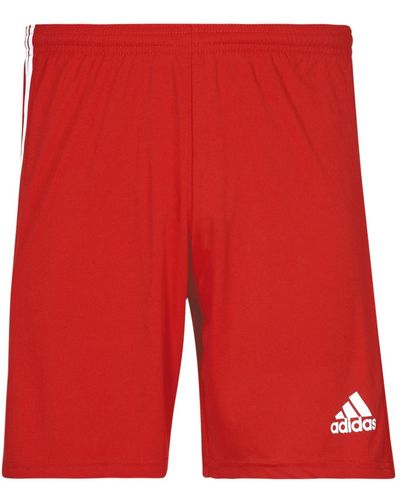 adidas Shorts Squad 21 Sho - Red