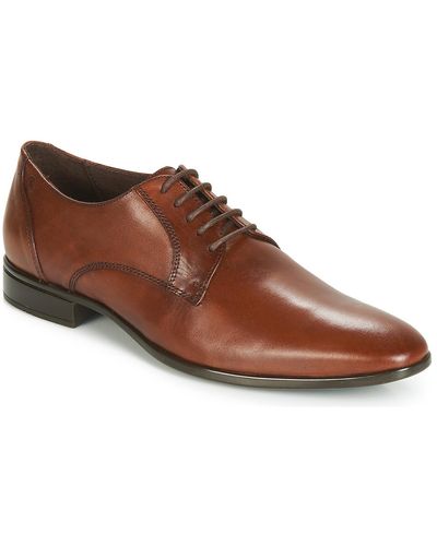 Carlington Jipino Smart / Formal Shoes - Brown