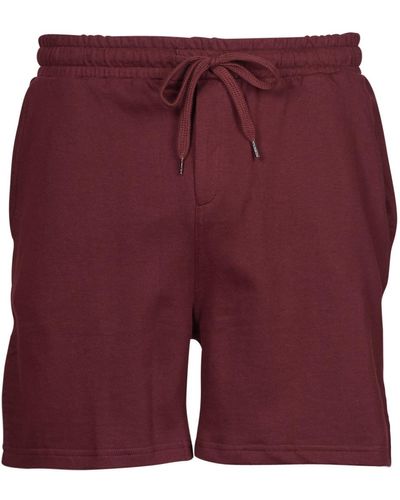 Yurban Payton Shorts - Purple