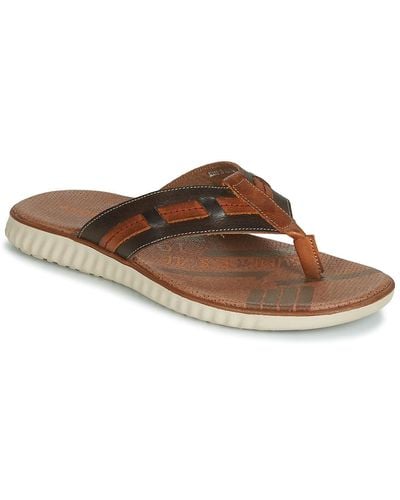 André Aragosta Flip Flops / Sandals (shoes) - Brown