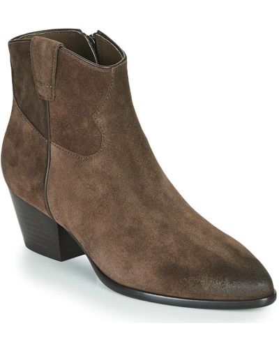 Ash Houston Low Ankle Boots - Brown