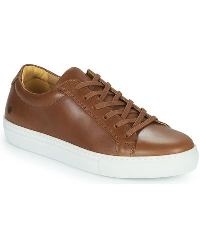 Carlington Serial Shoes (trainers) - Brown