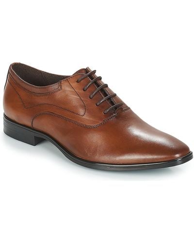 André Milord Smart / Formal Shoes - Brown