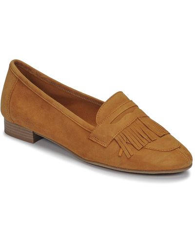 André Barcelona Loafers / Casual Shoes - Brown