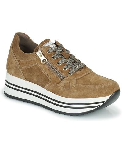 Nero Giardini Malto Shoes (trainers) - Brown