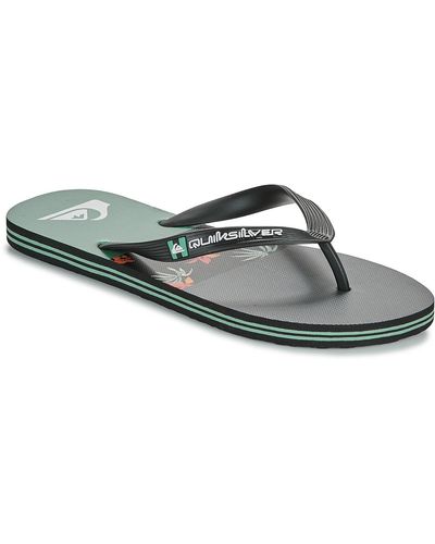 Quiksilver Flip Flops / Sandals (shoes) Molokai Stripe - Grey