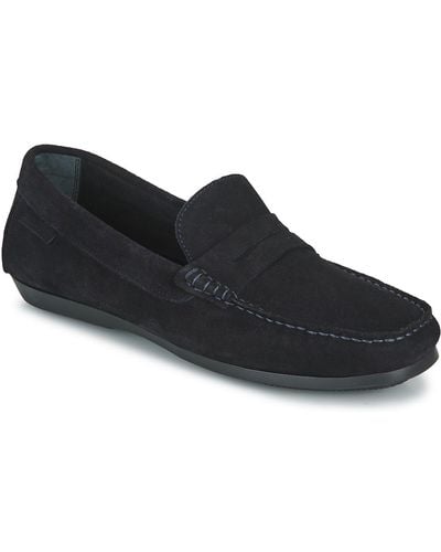 Carlington Loafers / Casual Shoes Ermyl - Black