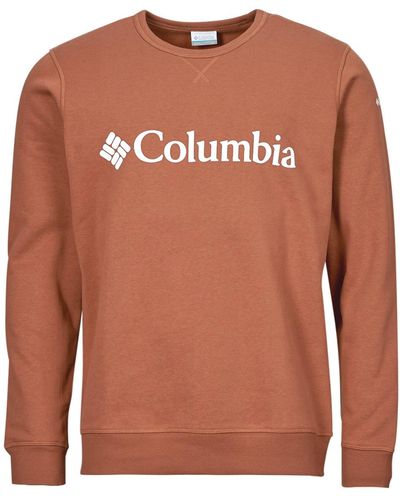 Columbia Sweatshirt Csc Basic Logo Ii Hoodie - Brown