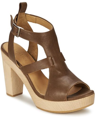 Coclico Shae Women's Sandals In Brown
