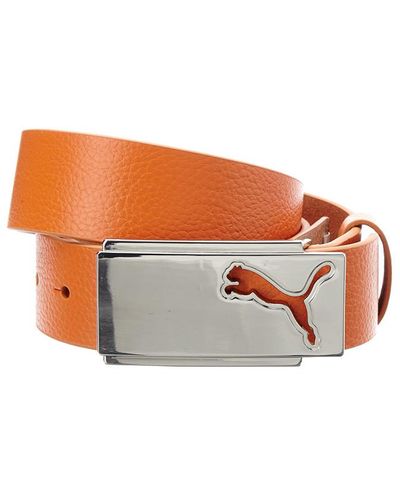 Orange puma 2024 golf belt
