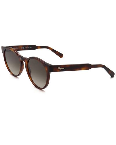 Ferragamo Sf1068s 52mm Sunglasses - Brown