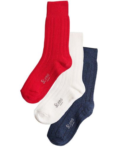 Stems Box Of 3 Lux Cashmere & Wool-blend Sock - Red