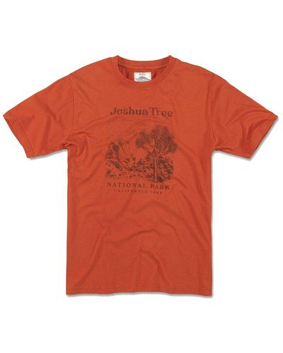 American Needle T-shirt - Orange