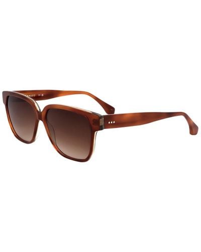 Sandro Sd6029 55mm Sunglasses - Brown