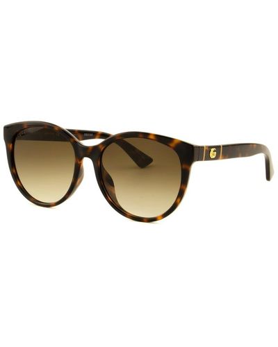 Gucci 56mm Gradient Cat Eye Sunglasses - Dark Havana/ Brown