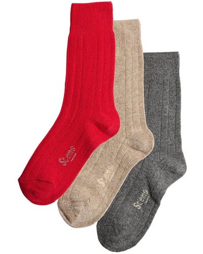 Stems Box Of 3 Lux Cashmere & Wool-blend Sock - Red