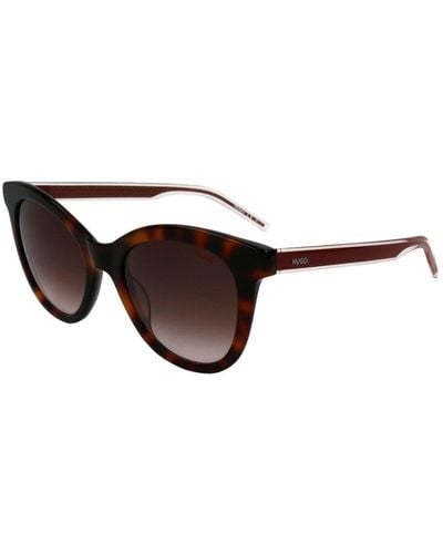 BOSS Hg 1043/s 50mm Sunglasses - Brown