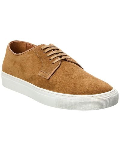 Ted Baker Kantens Suede Trainer - Brown