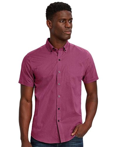 Cutter & Buck Strive Rail Stripe Shirt - Purple